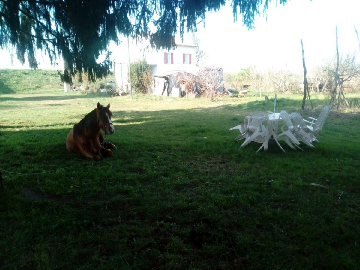 B&B De Carol Gramignazzo Luaran gambar